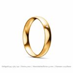 klassischer-ring-gewoelbt-gelbgold~2