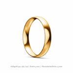 klassischer-ring-gewoelbt-gelbgold~3