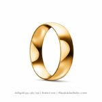 klassischer-ring-gewoelbt-gelbgold~4